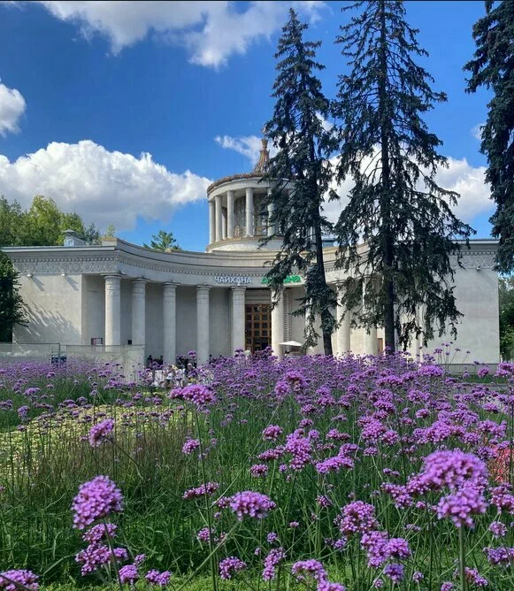 Фасад летом